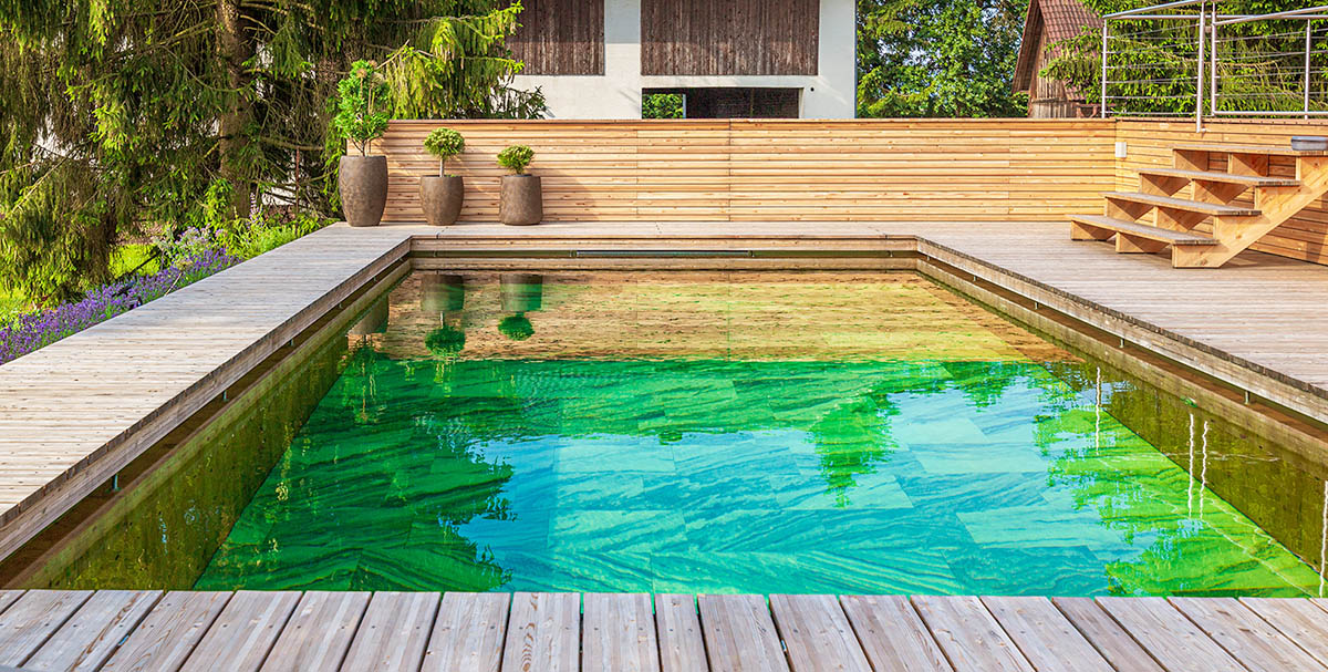 Naturpools sind sparsam