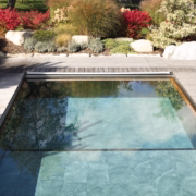 Naturpool ohne Wasserwechsel mit klarem Wasser und moderner Holzumrandung