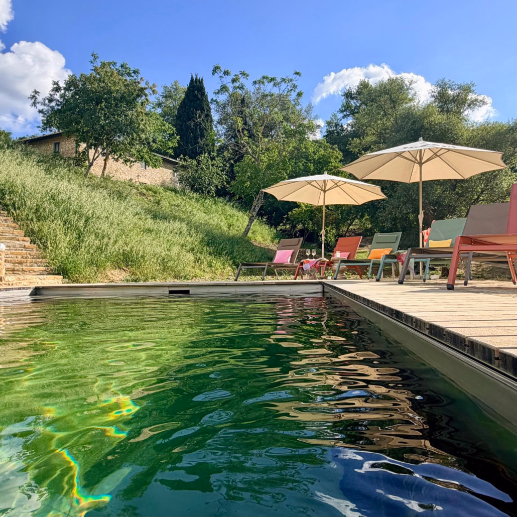 Timberra® Naturpool in der Toskana mit mediterranem Abiente